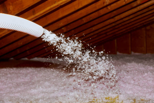 Best Home Insulation Services  in Walden, NY