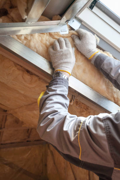 Best Local Insulation Services  in Walden, NY