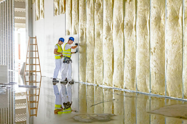 Best Fiberglass Insulation  in Walden, NY